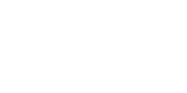 SAF-Logo, Kundenreferenz für nachhaltige und effiziente Lösungen in der Energieindustrie.